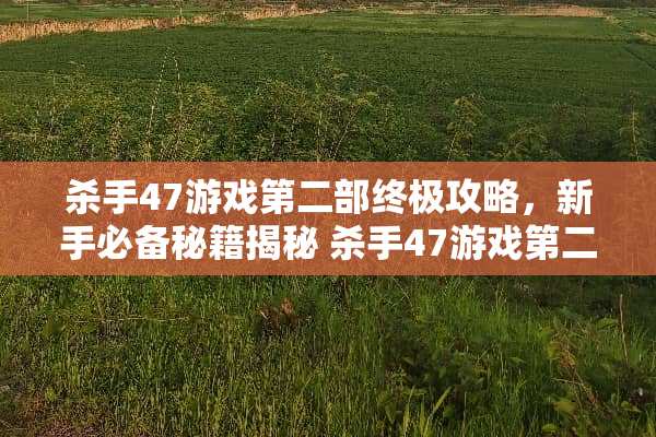 **47游戏第二部终极攻略，新手必备秘籍揭秘**47游戏第二部攻略