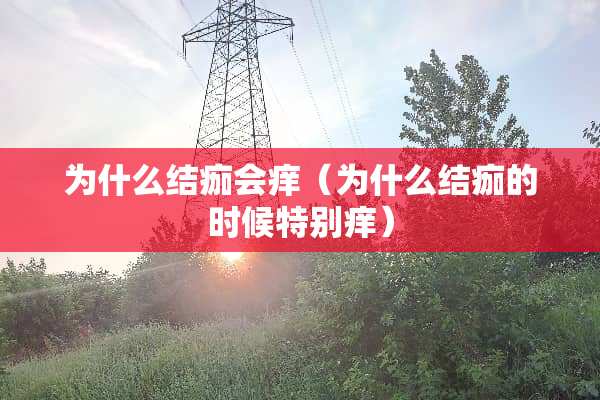 为什么结痂会痒(为什么结痂的时候特别痒) 为什么结痂会痒(为什么结痂的时候特别痒)