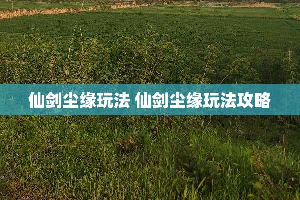 仙剑尘缘玩法 仙剑尘缘玩法攻略