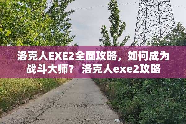 洛克人EXE2全面攻略,如何成为战斗大师? 洛克人exe2攻略 洛克人EXE2全面攻略,如何成为战斗大师? 洛克人exe2攻略