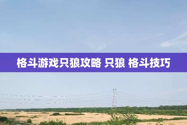 格斗游戏只狼攻略 只狼 格斗技巧 格斗游戏只狼攻略 只狼 格斗技巧