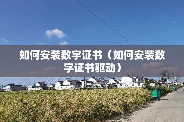 如何安装数字证书(如何安装数字证书驱动) 如何安装数字证书(如何安装数字证书驱动)