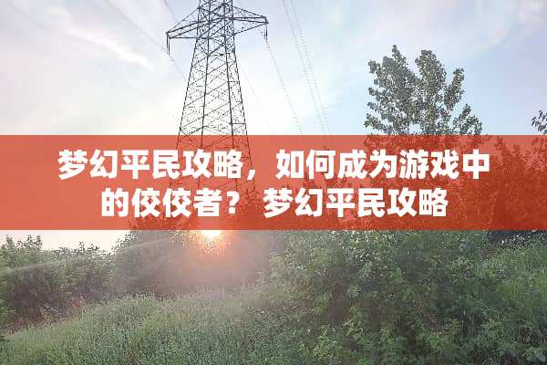 梦幻平民攻略，如何成为游戏中的佼佼者？ 梦幻平民攻略