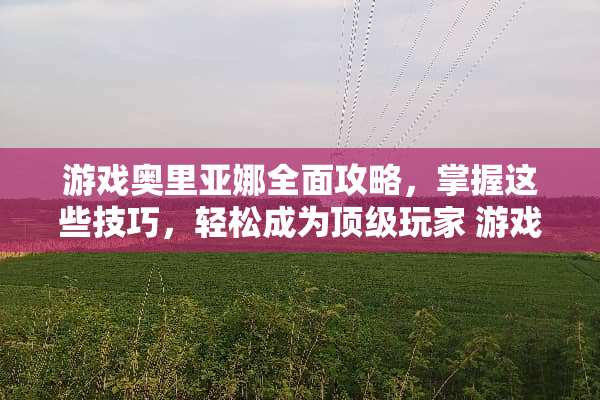 游戏奥里亚娜全面攻略，掌握这些技巧，轻松成为**玩家 游戏orika攻略