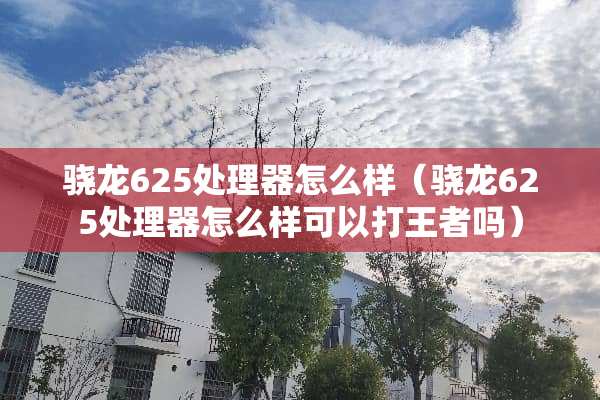 骁龙625处理器怎么样（骁龙625处理器怎么样可以打王者吗）