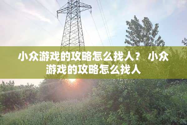 小众游戏的攻略怎么找人？ 小众游戏的攻略怎么找人