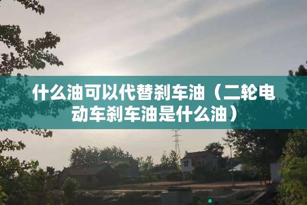 什么油可以代替刹车油（二轮电动车刹车油是什么油）