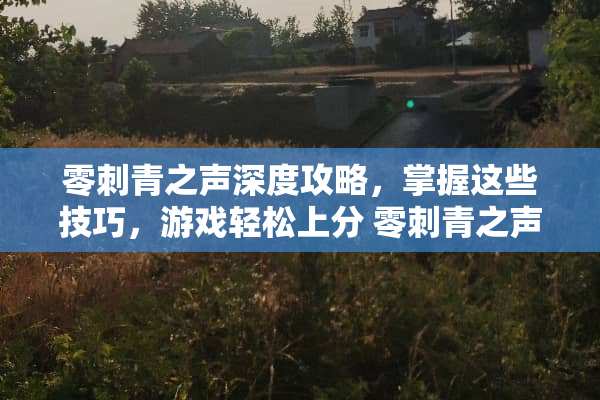 零刺青之声深度攻略,掌握这些技巧,游戏轻松上分 零刺青之声攻略 零刺青之声深度攻略,掌握这些技巧,游戏轻松上分 零刺青之声攻略