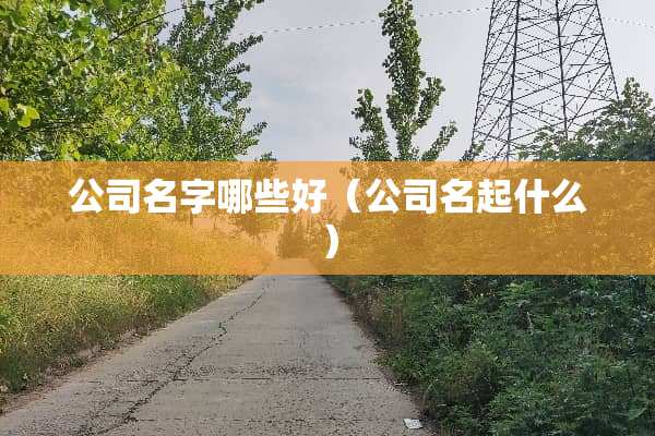 公司名字哪些好(公司名起什么) 公司名字哪些好(公司名起什么)