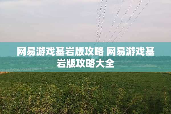 网易游戏基岩版攻略 网易游戏基岩版攻略大全