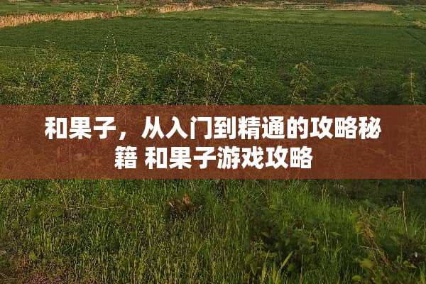 和果子,从入门到精通的攻略秘籍 和果子游戏攻略 和果子,从入门到精通的攻略秘籍 和果子游戏攻略