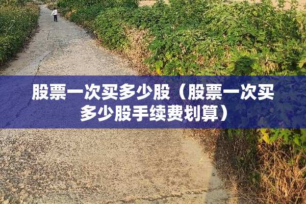 股票一次买多少股（股票一次买多少股手续费划算）