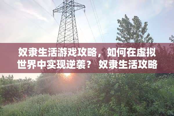 *隶生活游戏攻略,如何在虚拟世界中实现逆袭?*隶生活攻略 *隶生活游戏攻略,如何在虚拟世界中实现逆袭?*隶生活攻略