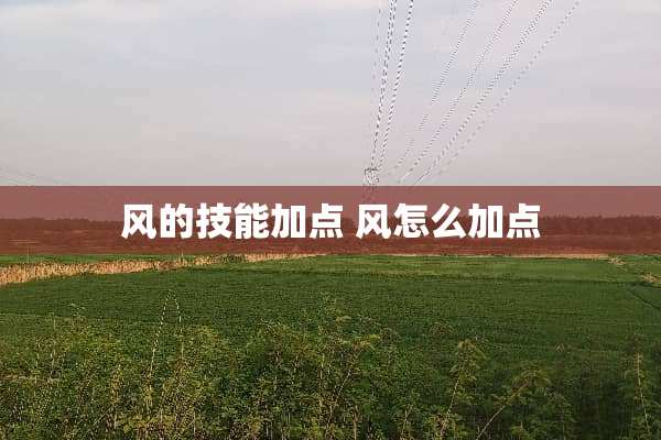 风的技能加点 风怎么加点 风的技能加点 风怎么加点