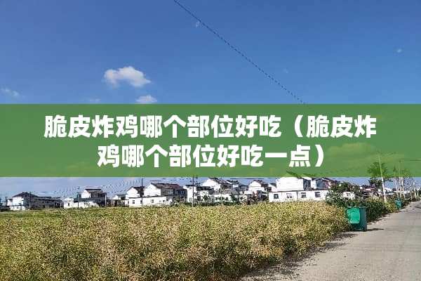脆皮炸鸡哪个部位好吃（脆皮炸鸡哪个部位好吃一点）