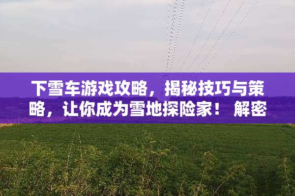 下雪车游戏攻略，揭秘技巧与策略，让你成为雪地探险家！ 解密游戏攻略下雪车