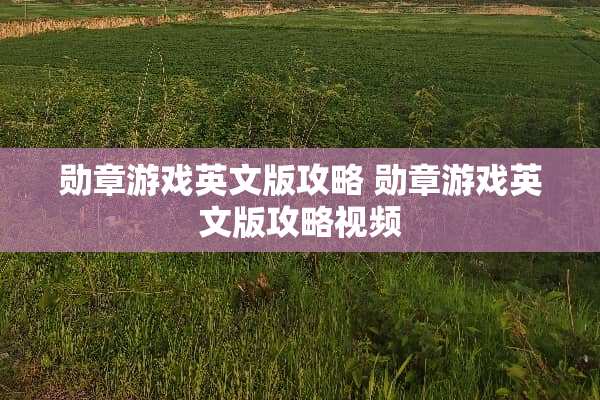 勋章游戏英文版攻略 勋章游戏英文版攻略视频 勋章游戏英文版攻略 勋章游戏英文版攻略视频