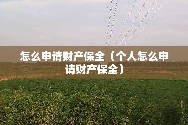 怎么申请财产保全（个人怎么申请财产保全）