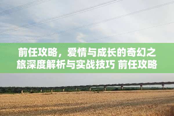 前任攻略，爱情与成长的奇幻之旅深度解析与实战技巧 前任攻略下载游戏软件