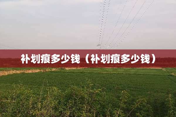 补划痕多少钱(补划痕多少钱) 补划痕多少钱(补划痕多少钱)