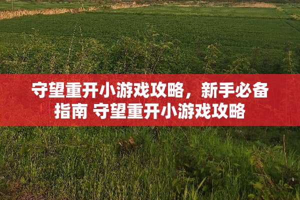 守望重开小游戏攻略,新手必备指南 守望重开小游戏攻略