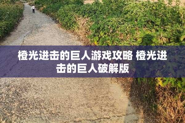 橙光进击的巨人游戏攻略 橙光进击的巨人**版