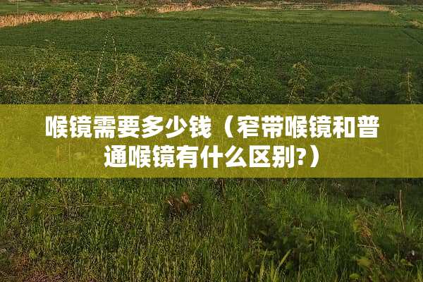 喉镜需要多少钱(窄带喉镜和普通喉镜有什么区别?) 喉镜需要多少钱(窄带喉镜和普通喉镜有什么区别?)