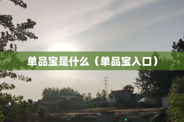 单品宝是什么（单品宝入口）