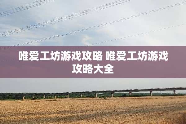 唯爱工坊游戏攻略 唯爱工坊游戏攻略大全
