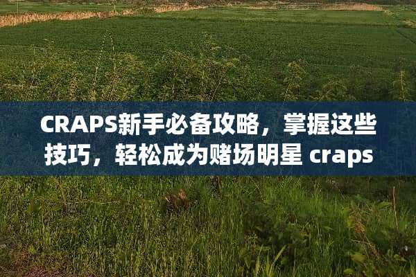 CRAPS新手必备攻略，掌握这些技巧，轻松成为**明星 craps玩法