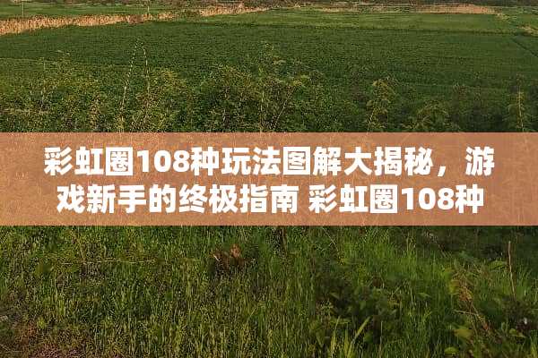 彩虹圈108种玩法图解大揭秘，游戏新手的终极指南 彩虹圈108种玩法图解