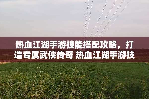 热血江湖手游技能搭配攻略，打造专属武侠传奇 热血江湖手游技能搭配