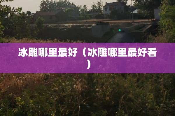 冰雕哪里最好(冰雕哪里最好看)