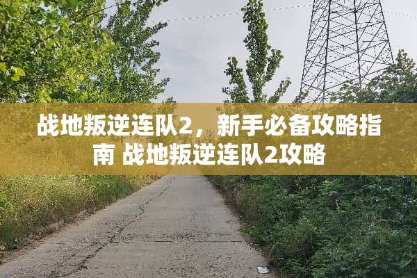 战地叛逆连队2，新手必备攻略指南 战地叛逆连队2攻略