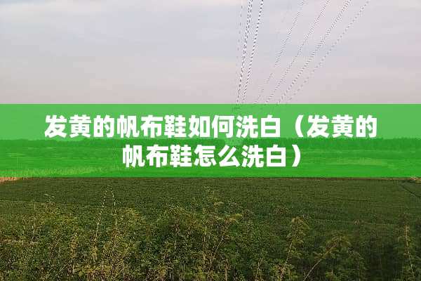 发黄的帆布鞋如何洗白（发黄的帆布鞋怎么洗白）