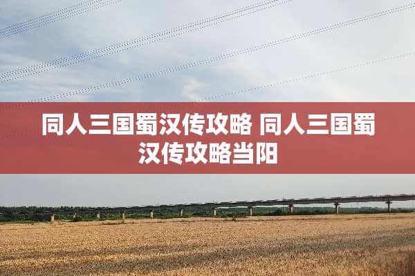 同人三国蜀汉传攻略 同人三国蜀汉传攻略当阳