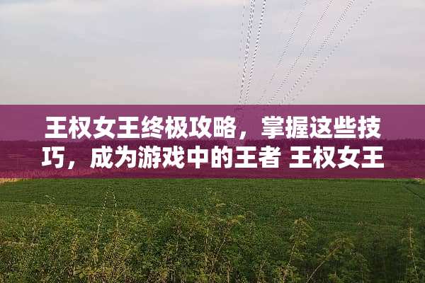 王权女王终极攻略,掌握这些技巧,成为游戏中的王者 王权女王攻略 王权女王终极攻略,掌握这些技巧,成为游戏中的王者 王权女王攻略