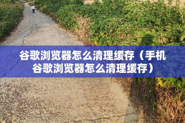 谷歌浏览器怎么清理缓存(手机谷歌浏览器怎么清理缓存) 谷歌浏览器怎么清理缓存(手机谷歌浏览器怎么清理缓存)