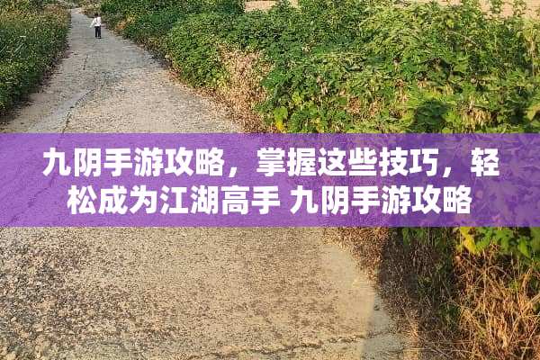 九*手游攻略，掌握这些技巧，轻松成为江湖高手 九*手游攻略
