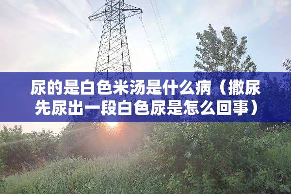尿的是白色米汤是什么病（撒尿先尿出一段白色尿是怎么回事）