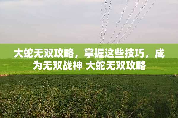 大蛇无双攻略，掌握这些技巧，成为无双战神 大蛇无双攻略