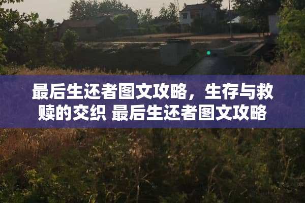 最后生还者图文攻略,生存与救赎的交织 最后生还者图文攻略 最后生还者图文攻略,生存与救赎的交织 最后生还者图文攻略