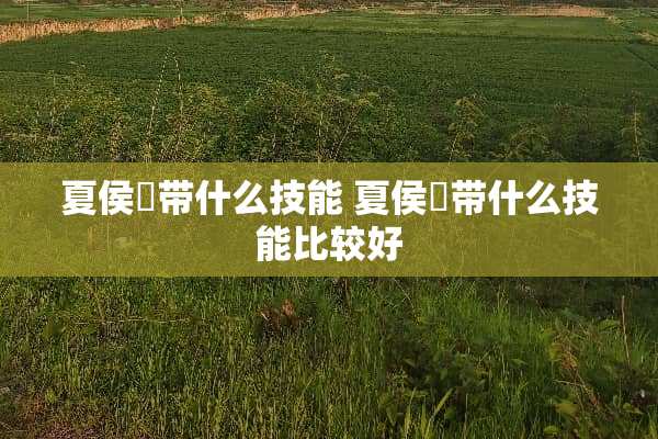 夏侯惇带什么技能 夏侯惇带什么技能比较好