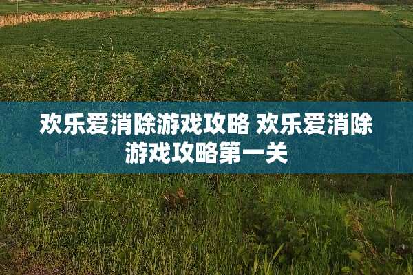 欢乐爱消除游戏攻略 欢乐爱消除游戏攻略第一关 欢乐爱消除游戏攻略 欢乐爱消除游戏攻略第一关