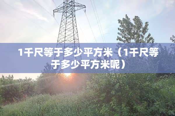 1千尺等于多少平方米(1千尺等于多少平方米呢) 1千尺等于多少平方米(1千尺等于多少平方米呢)
