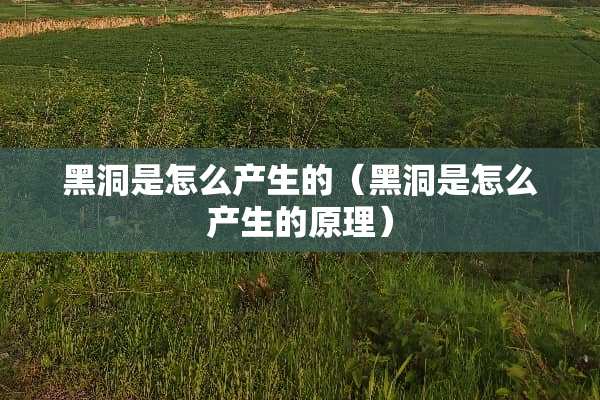 黑洞是怎么产生的（黑洞是怎么产生的原理）