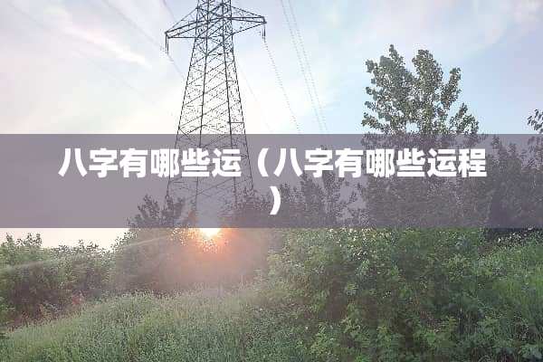 八字有哪些运（八字有哪些运程）
