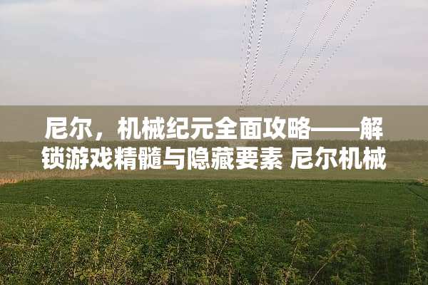 尼尔，机械纪元全面攻略——解锁游戏精髓与隐藏要素 尼尔机械纪元攻略
