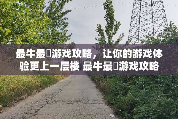 最牛最囧游戏攻略，让你的游戏体验更上一层楼 最牛最囧游戏攻略