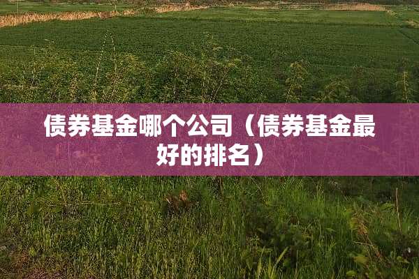 债券基金哪个公司(债券基金最好的排名) 债券基金哪个公司(债券基金最好的排名)